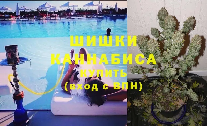 Бошки марихуана SATIVA & INDICA  Людиново 